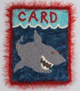 card shark