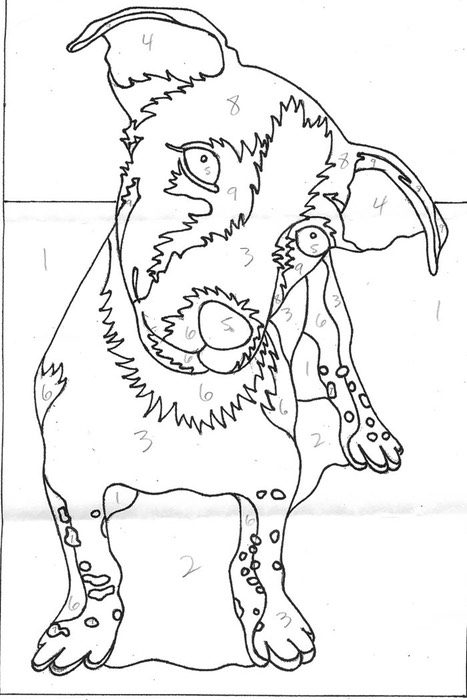 Jack Russell